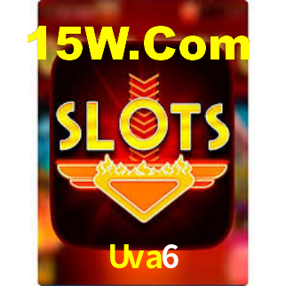 Premium Interface Uva6